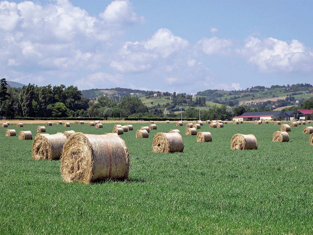 Foraggio-imballato